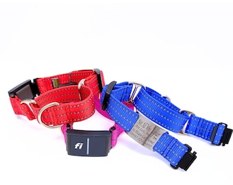 Fi Compatible REFLECTIVE Nylon Martingale Dog Collar
