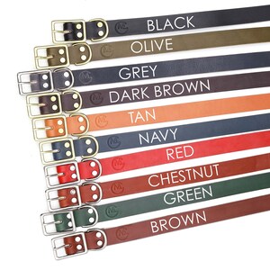 May include: Ten leather dog collars in a variety of colours, including black, olive, grey, dark brown, tan, navy, red, chestnut, green, and brown. Each collar has a brass buckle and two brass rivets.