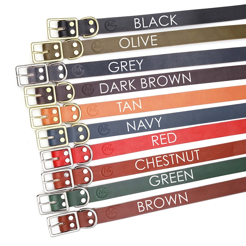 May include: Ten leather dog collars in a variety of colours, including black, olive, grey, dark brown, tan, navy, red, chestnut, green, and brown. Each collar has a brass buckle and two brass rivets.