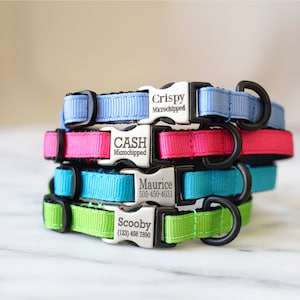 May include: Four colorful dog collars with personalized engraved metal tags. The collars are stacked on top of each other. The tags read "Crispy Microchipped", "CASH Microchipped", "Maurice 505-450-4031", and "Scooby (123) 456 7890".