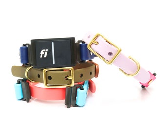 5/8" Width Fi Compatible Waterproof Dog Collar | 22 Colors to Choose From | For Small to Medium Dogs | Small Dog Fi Collar Band | Series 3