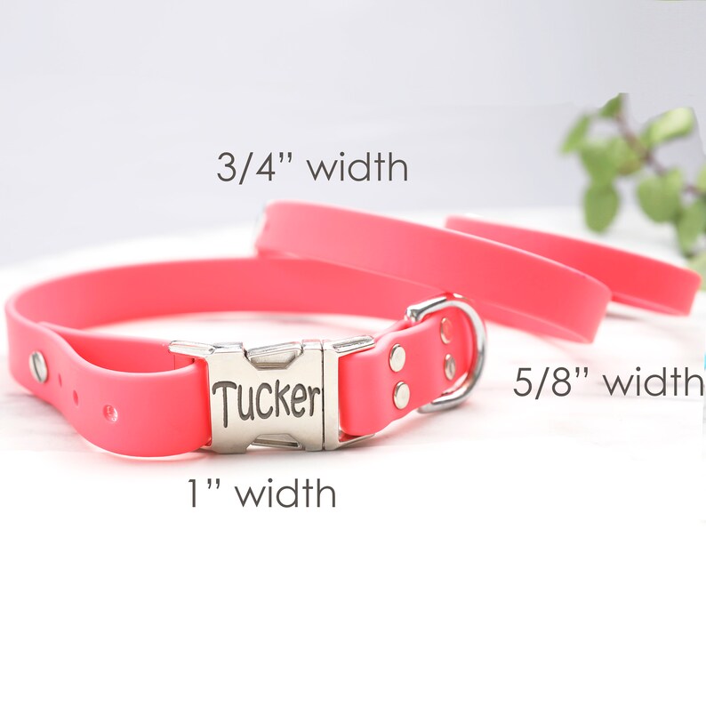 Pode incluir: Coleira de cachorro rosa com uma fivela prateada que diz "Tucker". A coleira est&aacute; dispon&iacute;vel em tr&ecirc;s larguras: 3/4 polegada, 5/8 polegada e 1 polegada.