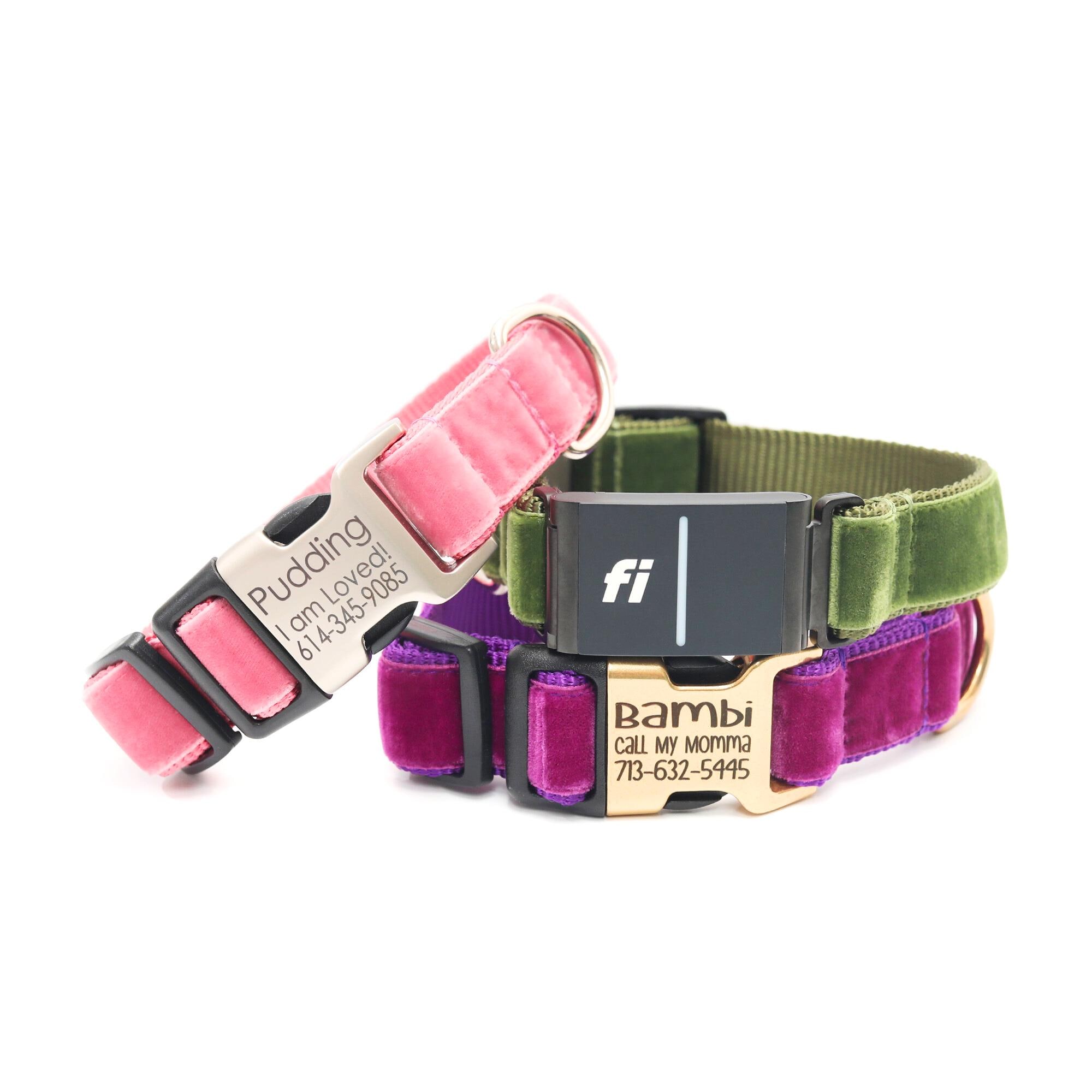 Fi Compatible Collar | 20+ Velvet Ribbon Options Customizable Gps Tracker Dog Band Personalized Engraved Id Series 3/3+