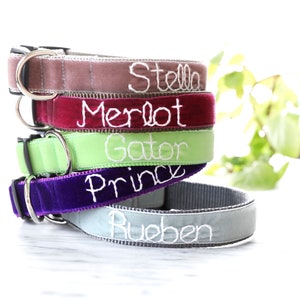 Personalized Velvet Dog Collar 20 colors available Custom Dog Collar Hand Embroidered Collar with your dog's name Monogram dog collar image 5