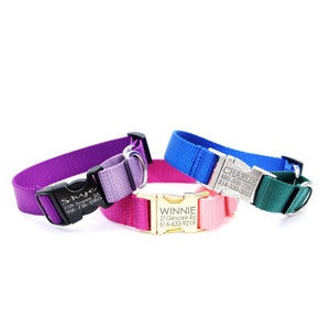 Colorful Two Toned Buckle Martingale Dog Collar | Personalized | 14+ Colorful Combos | Limited Slip Collar Training | Tightens When Pulled