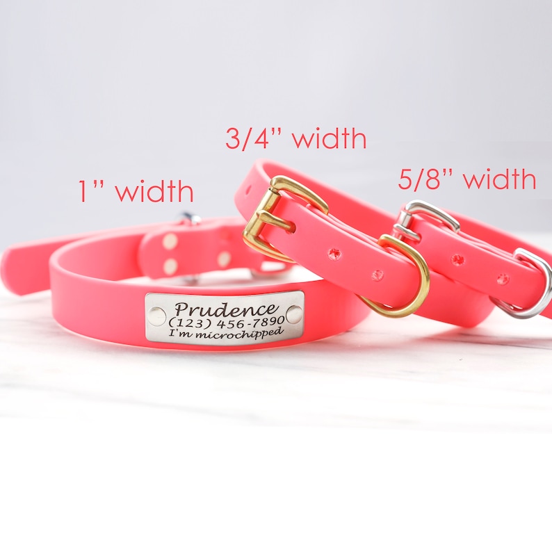 Waterproof Dog Collar w Engraved NAMEPLATE StinkProof Dirt Etsy