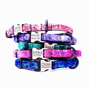 May include: Five colorful glitter dog collars with personalized silver name tags. The collars are stacked on top of each other. The name tags have the names "Jane", "Molly", "Scout", "Mila", and "Chase Chipped" with corresponding phone numbers.