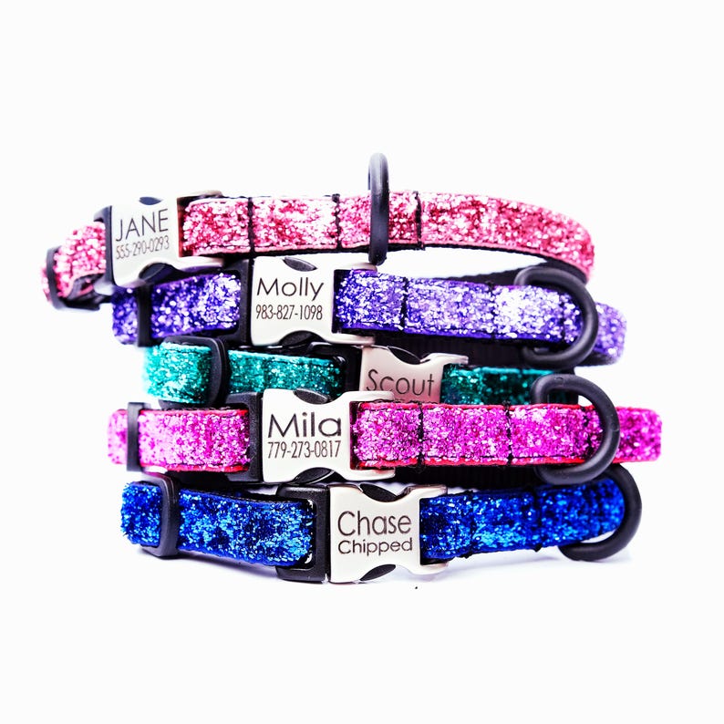 May include: Five colorful glitter dog collars with personalized silver name tags. The collars are stacked on top of each other. The name tags have the names "Jane", "Molly", "Scout", "Mila", and "Chase Chipped" with corresponding phone numbers.