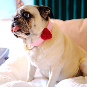 May include: A pug dog wearing a pink collar with a red heart-shaped charm. The dog is sitting on a white bedspread and has its tongue sticking out.