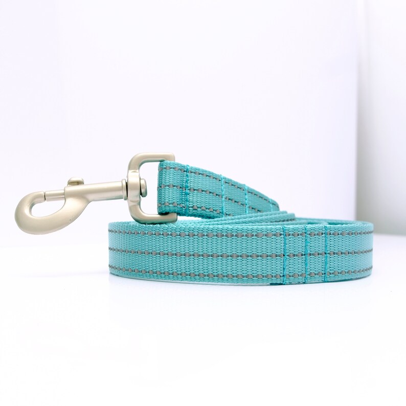 May include: A turquoise blue dog leash with a silver clip. The leash has a reflective strip running along the length of the leash.