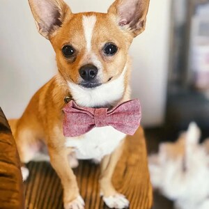 Dog Collar BOW TIE 7 colors Linen Bowtie for Dogs Dog Collar Accessory Special Occasion Wedding Dog Bowtie image 9