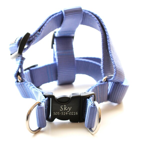 engraved dog harness