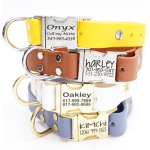 High Desert Color Collection | Waterproof Dog Collar w Engraved Brass / Silver BUCKLE- StinkProof, Dirt Resistant, Hunting Dog Collar