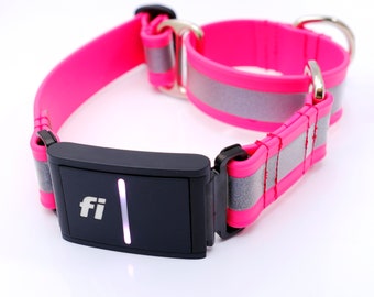 Fi Compatible Reflective Martingale Dog Collar | Lightweight Waterproof Biothane | Engraved Name Plate | Safety GPS Tracker Band |No Buckle