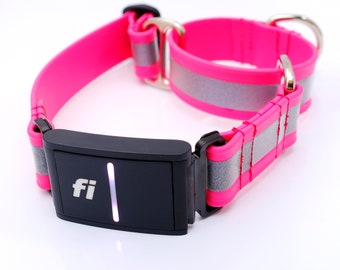 Collar para perros con martingala de biotano reflectante compatible con Fi: placa de identificación grabada