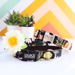 Olea Rifle Paper Co. Hundehalsband mit Obst- und Blumenmuster | Stabile Leinwand | Orange Zitrone Olivendruck | Personalisierte Gravierte Schnalle Kragen