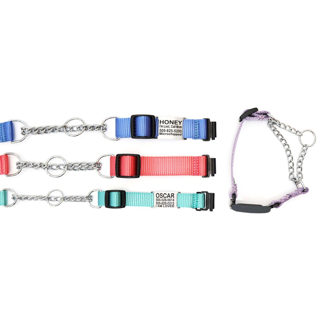 Fi Compatible Nylon Chain Martingale Dog Collar Personalized Engraved