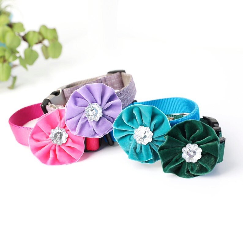 Dog Collar Flower Beautiful Soft VELVET Dog Collar Accessory Wedding Party Dog Flower Special Occasion Dog Collar Removable Flower image 1