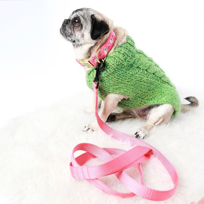 Pug Dog Collar Personalized Engraved Dog Collar Collar for Etsy