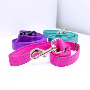 REFLECTIVE Dog Leash - 4&#39;, 5&#39; or 6&#39; -- 11 Nylon Colors to choose from! Dog Safety Leash - Hunting Dog Leash - Jogging Leash - Dog Lead