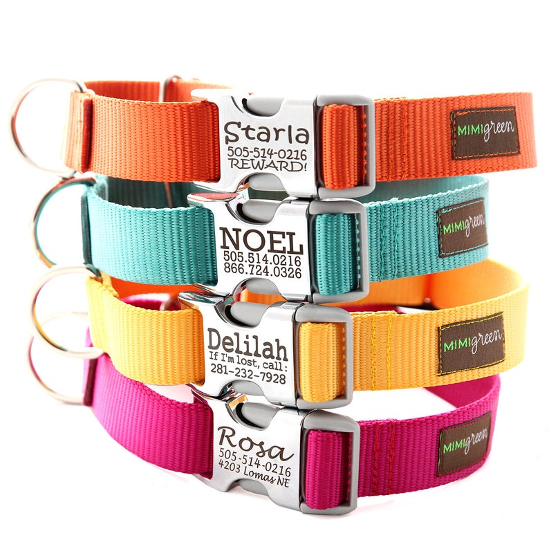 Buckle Martingale Dog Collar Personalized Your Choice of 27 Etsy