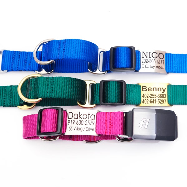 Fi Compatible Nylon Webbing Martingale Dog Collar | Personalized Engraved Name Plate |22 Colors |GPS Tracker Band |No Buckle | Series 2 or 3
