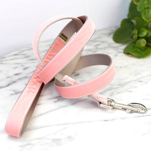 4&#39; or 5&#39; VELVET Dog Leash to match your collar - 25 colors to choose from - Custom Soft Dog Lead - Beautiful Dog Leash - Wedding Dog Gift -