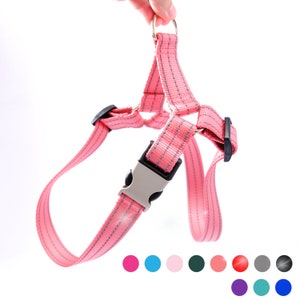 REFLECTIVE Dog Harness with Engraved Buckle - Easy On |  Laser Engraved with 11 Reflective Colors | Safety Dog ID Tag Personalized Harness