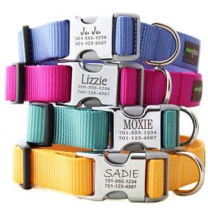 Engraved Personalized Metal Buckle Webbing Dog Collar with Hand Embroidery 18 colors image 2