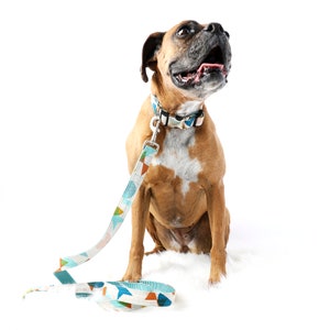 Op de afbeelding: Een bruine en witte boxer die een blauwe, groene en oranje geometrische geprinte halsband en riem draagt. De hond zit op een wit oppervlak en kijkt omhoog.