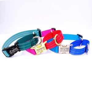 May include: Four dog collars in different colors, teal, pink, red, and blue, with personalized engraved tags. The tags include names and phone numbers.