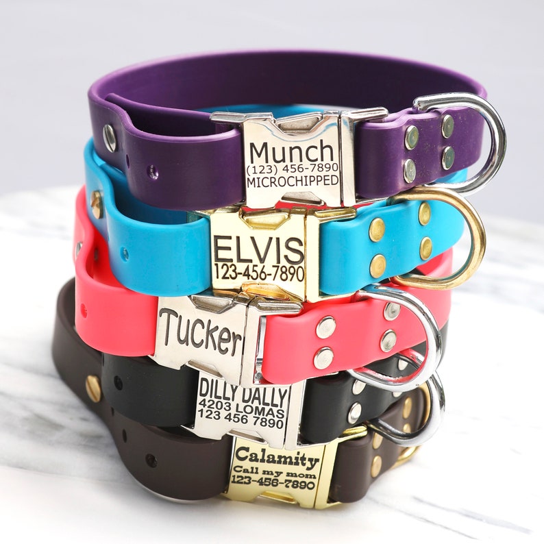 Pode incluir: Cinco coleiras de cachorro coloridas com fivelas de metal prateado e dourado. Cada coleira tem uma etiqueta de nome personalizada com informa&ccedil;&otilde;es de contato. As coleiras est&atilde;o empilhadas umas sobre as outras, com a coleira roxa na parte superior e a coleira marrom na parte inferior.