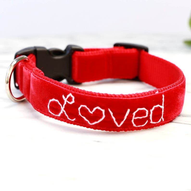 LOVED Velvet Dog Collar Valentine Dog Collar Hand Embroidered Dog Collar I Am Loved Dog collar Cute dog collar image 6