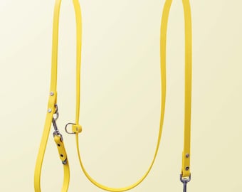 Hands-Free Waterproof Biothane Dog Leash: 3-Way Convertible Lead