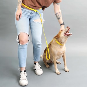 Hands Free Dog LEASH Waterproof Convertible Dog Lead 22 Biothane Colors Wear 3 Ways Waist Dog Leash Adjustable Leash image 2