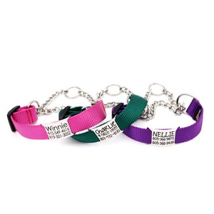 Personalized Nylon Martingale Chain Dog Collar with Engraved Name Plate | 15 Nylon Webbing colors | Limited Slip Collar