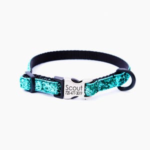 May include: A turquoise blue dog collar with black webbing and a silver buckle. The buckle has the text "Scout 720-477-3019" engraved on it.