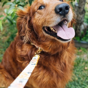HAZEL Gelb Florales Baumwoll Voile Hundehalsband Gravierte Schnalle personalisiert für Ihren Hund Niedliche Plakette Feminines Hundehalsband Bild 2