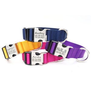 Coleira híbrida de nylon larga para cães de 1,5&quot; de cetim | Coleira para raças grandes | Coleira com fivela gravada | Coleira para cães grandes | Coleira para galgos |