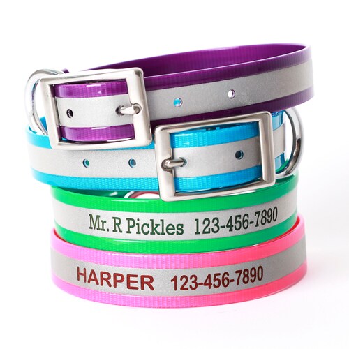 Gotags Personalized Waterproof Dog Collar Highly Reflective Etsy
