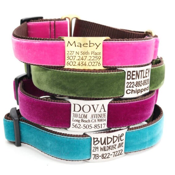 Plastic dog collar with nameplate top