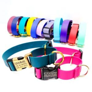 Waterproof Biothane Martingale Dog Collar: Engraved Buckle, Custom Training Collar, Sewn