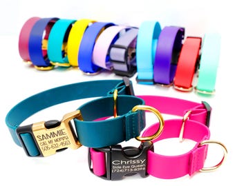 Waterproof Biothane Martingale Dog Collar: Engraved Buckle, Custom Training Collar, Sewn