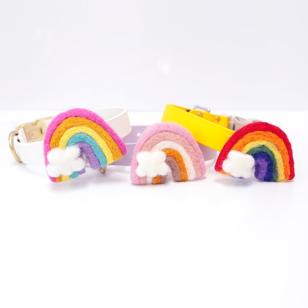 Collier de Chien Rainbow main image 1