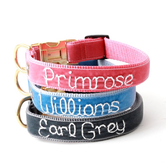 Dog name belt hotsell