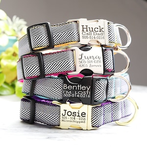 Black + White HERRINGBONE Engraved Buckle Dog Collar | Personalized with Engraving | Choice of Custom Buckle + Nylon Color