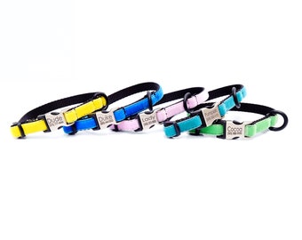 May include: Five colorful dog collars with personalized name tags. The collars are yellow, blue, pink, green, and teal. The name tags are engraved with the names "Dude", "Duke", "Lady", "Pumpkin", and "Cocoa" along with phone numbers.