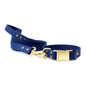 Pode incluir: Um conjunto de coleira e trela para c&atilde;es de borracha azul com ferragens douradas. A coleira tem um fecho de fivela e a trela tem um gancho.