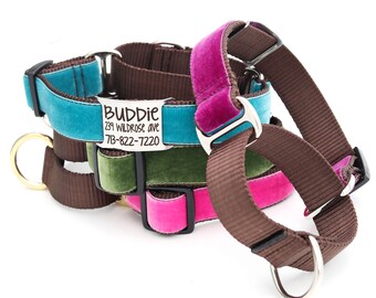Op de afbeelding: Een set van drie hondenhalsbanden in bruin, turquoise, groen en roze fluweel. De halsbanden zijn op elkaar gestapeld en hebben een zilveren tag met de tekst "Buddie 239 Wildrose Ave 713-822-7220".