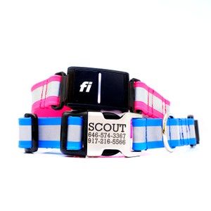May include: Two dog collars, one pink and one blue, with reflective strips. The blue collar has a silver tag that reads "SCOUT 646-574-3367 917-216-5566". The pink collar has a black device with the letters "fi" on it.